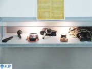 Launching Ruang Introduksi Museum Nasional Sejarah Alam Indonesia (MUNASAIN) LIPI